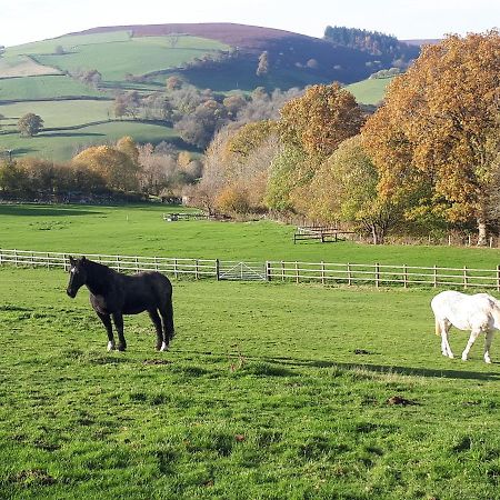 Buzzards Breg Villa Builth Wells Bagian luar foto