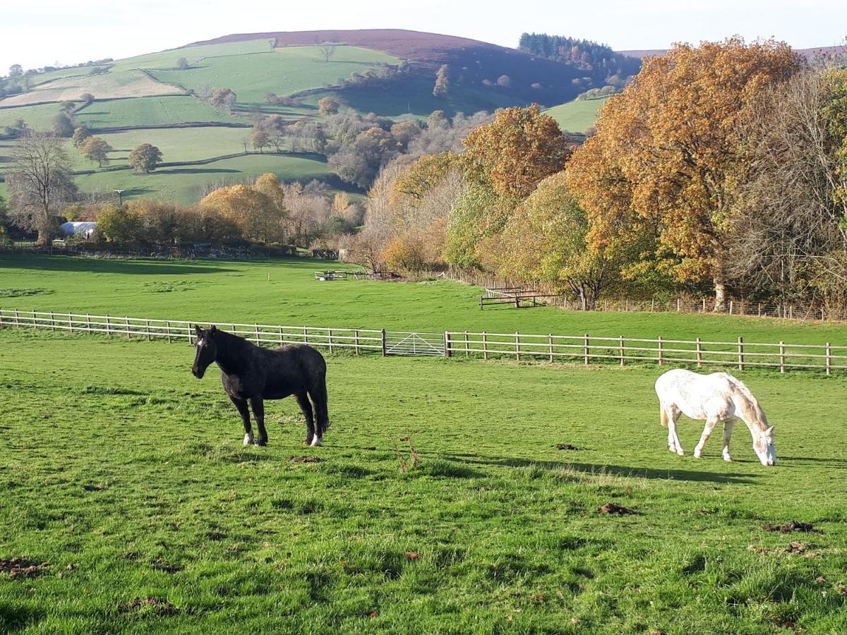 Buzzards Breg Villa Builth Wells Bagian luar foto